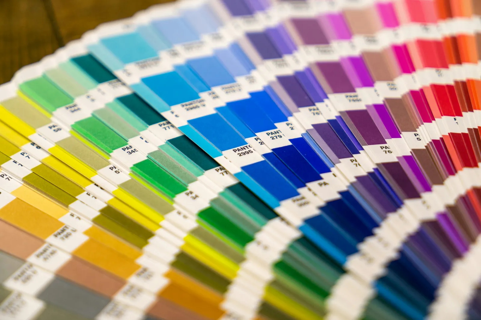 Pantone colour swatches fanned out for checking print colour accuracy